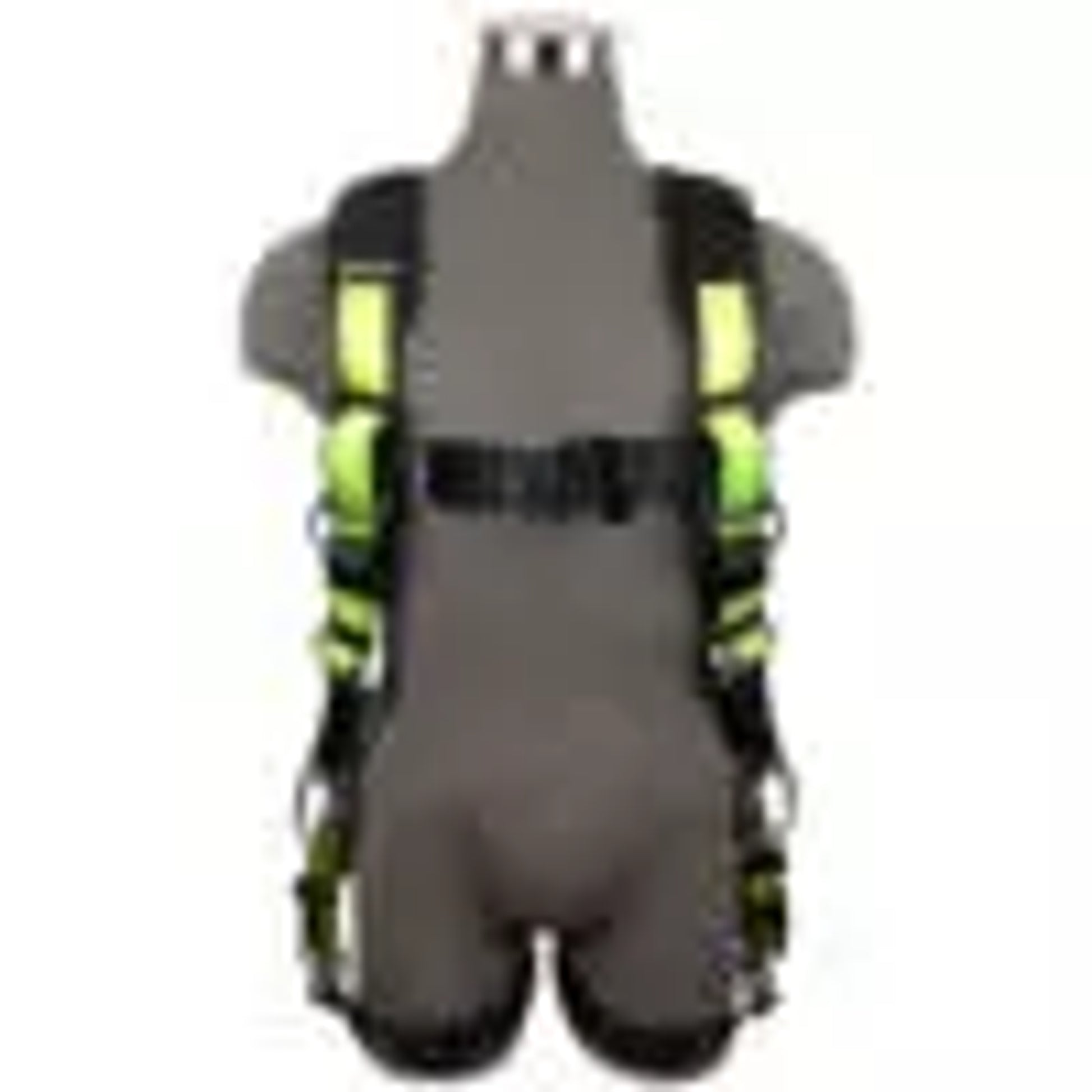 Safewaze PRO Harness: 3D, MB Chest, FD, TB Legs (2X) - 019-1065