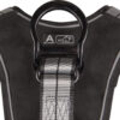 Safewaze PRO+ Slate Harness: Alu 1D, Alu QC Chest, Alu FD, TB Legs (L) - 020-1215