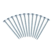 Safewaze 12pc 2.5" Sheet Metal Screws for FS870 - 021-4066