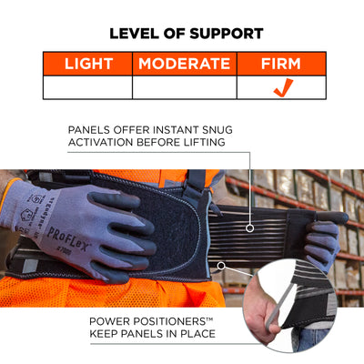 Ergodyne Proflex 1675 Back Support Brace with Cooling/Warming Pack
