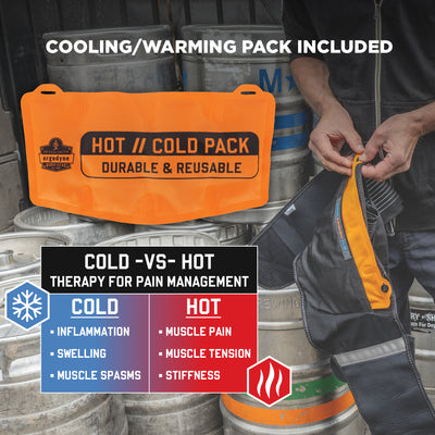Ergodyne Proflex 1675 Back Support Brace with Cooling/Warming Pack