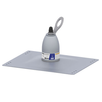 3M DBI-SALA Roof Top Anchor - 2100138
