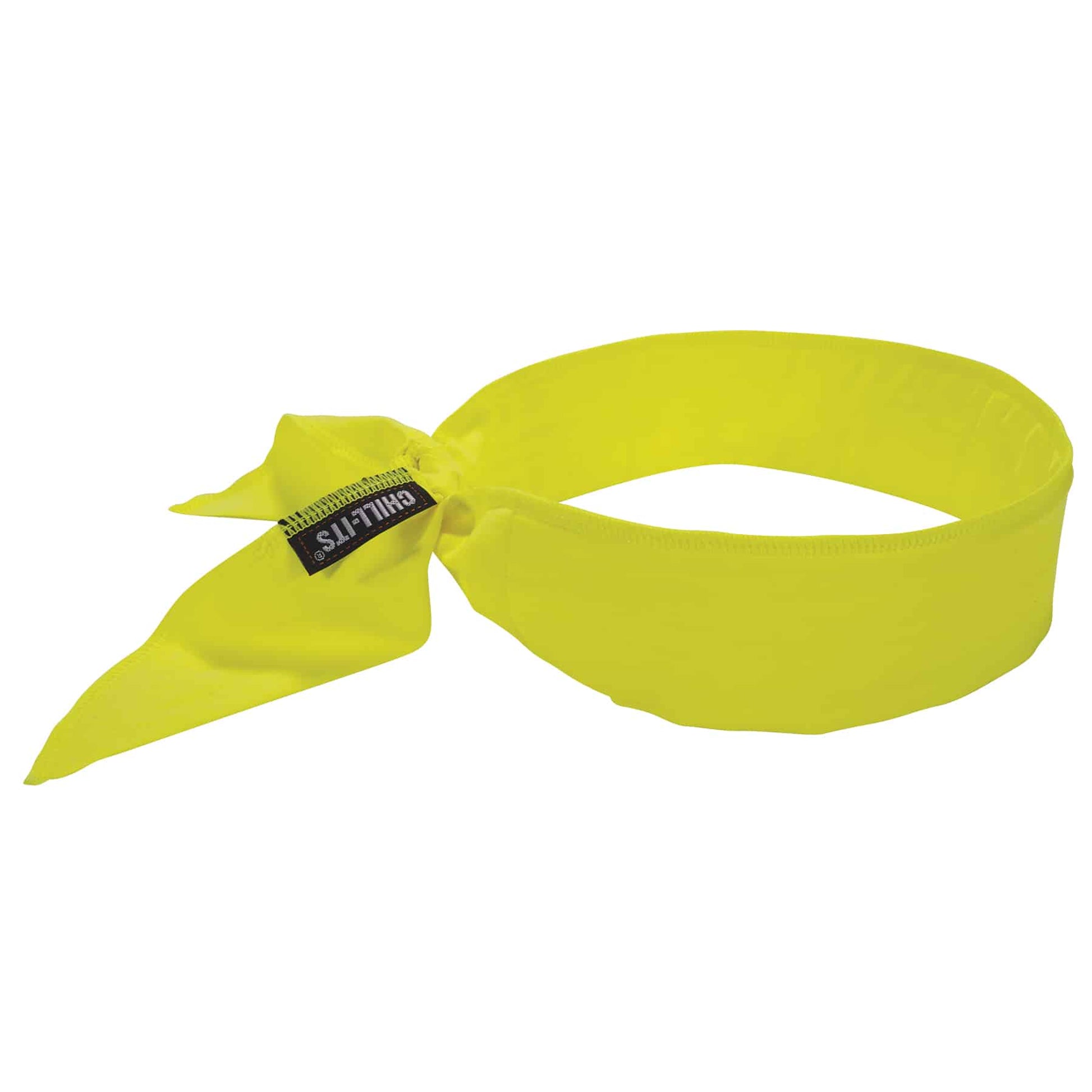 Ergodyne Chill-Its 6702 Cooling Bandana - Polymer Embedded Batting Material, Tie Closure
