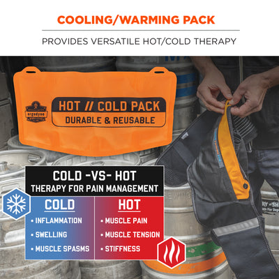 Ergodyne ProFlex 6275 Reusable Hot/Cold Pack Replacement (2-Pack)