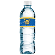 Magnetic Springs Bottled Water 16.9oz 24 Bottles/Case