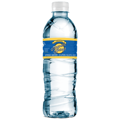 Magnetic Springs Bottled Water 16.9oz 24 Bottles/Case