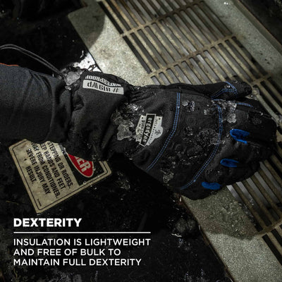 Ergodyne ProFlex 819WP Extreme Thermal Waterproof Winter Work Gloves