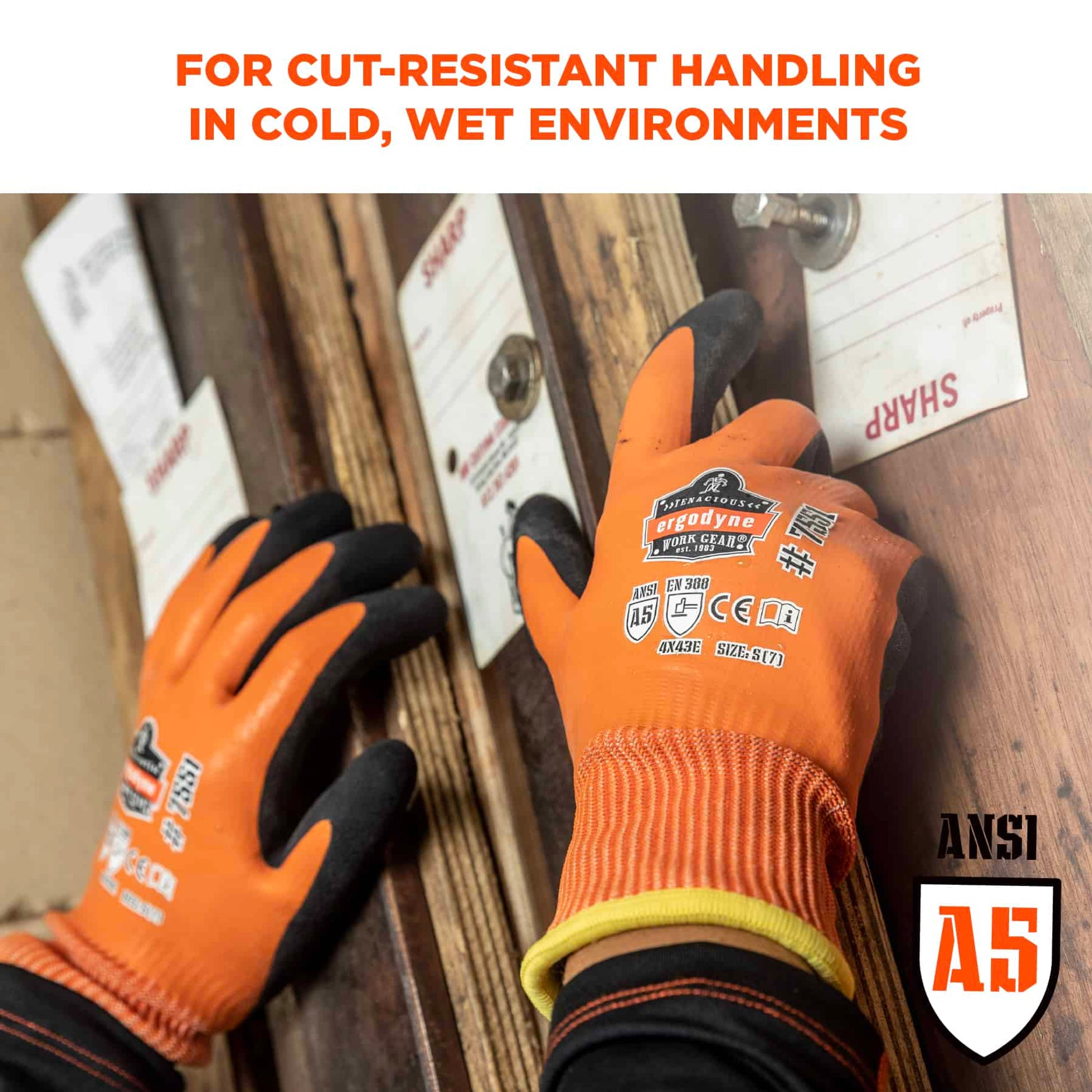 Ergodyne ProFlex 7551 Coated Cut-Resistant Winter Work Gloves - ANSI/ISEA 105-2016 A5, EN 388: 4X43E, Waterproof - Orange - 144-pair