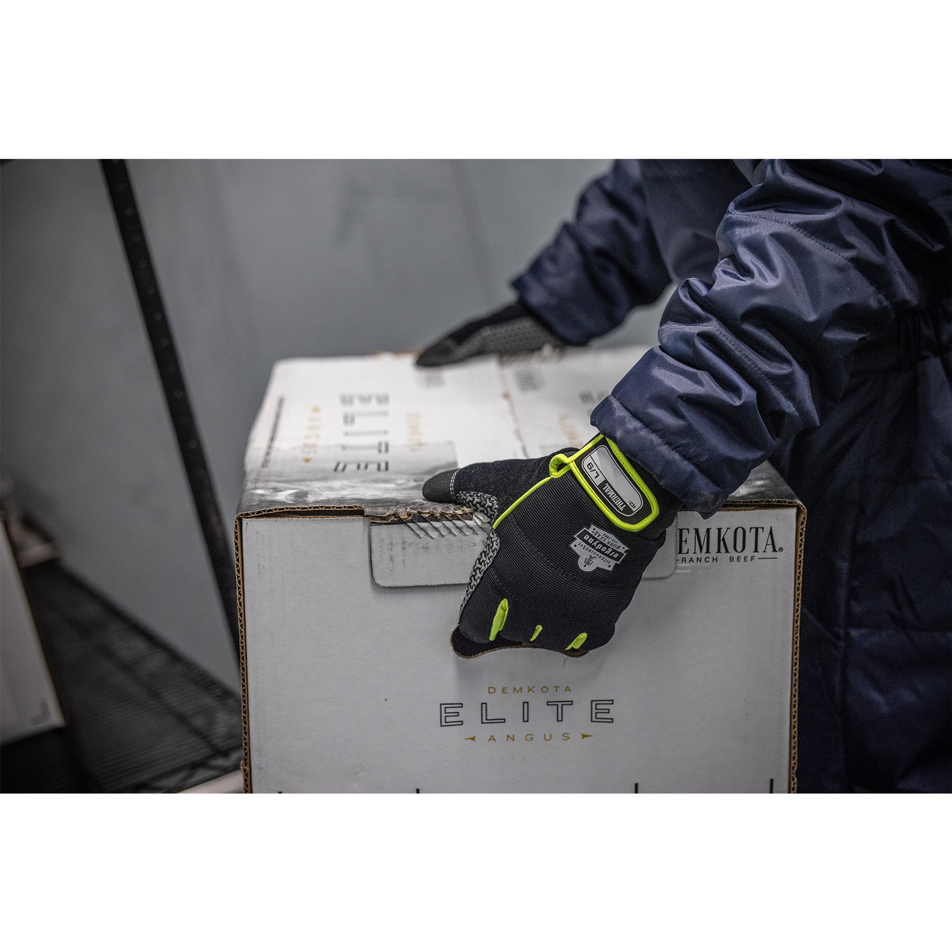 Ergodyne ProFlex 850 Insulated Freezer Gloves - Black