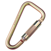 3M DBI-SALA Saflok Carabiner - 2000113