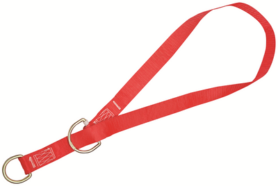3M Protecta Pass-Thru Web Tie-Off Adapter Anchor - Polyester - 20 ft - 5900582