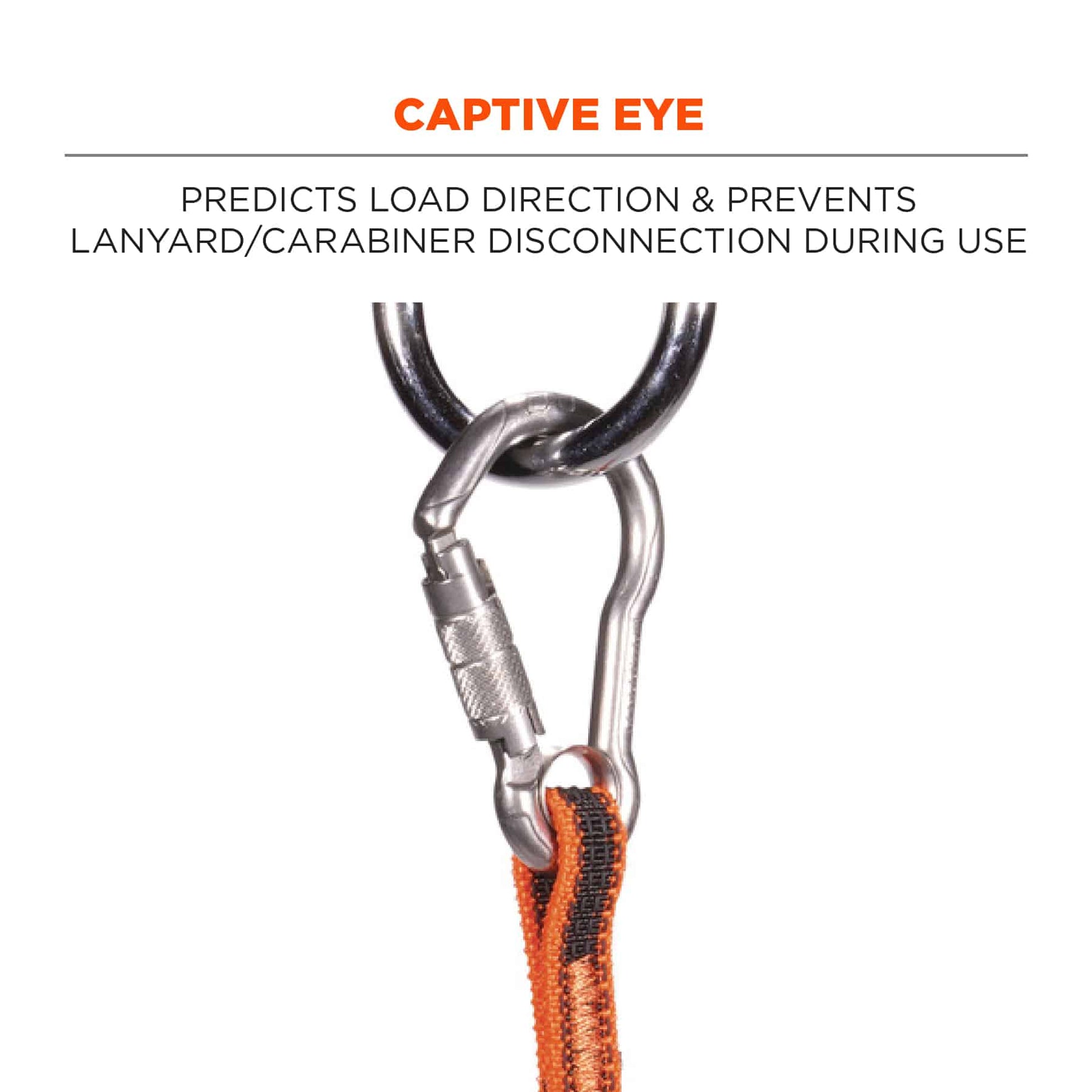 Ergodyne Squids 3111F(x) Tool Lanyard - Dual Stainless-Steel Carabiners - 15lbs