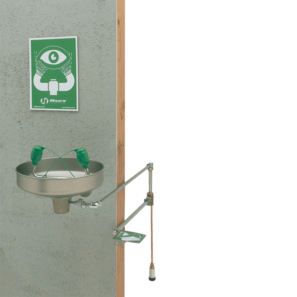 Haws Freeze Protected Wall Mount Eyewash - 7433FP