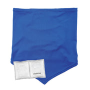 Ergodyne Chill-Its 6482 Cooling Neck Gaiter Bandana with Rechargeable Phase Change Ice Packs