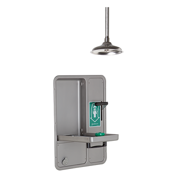 Combo Eye/Face and Shower Units