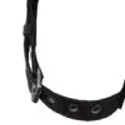 Safewaze Heavyweight Harness: 1D MB Chest, TB Legs (3X/4X) - SW99280-HW