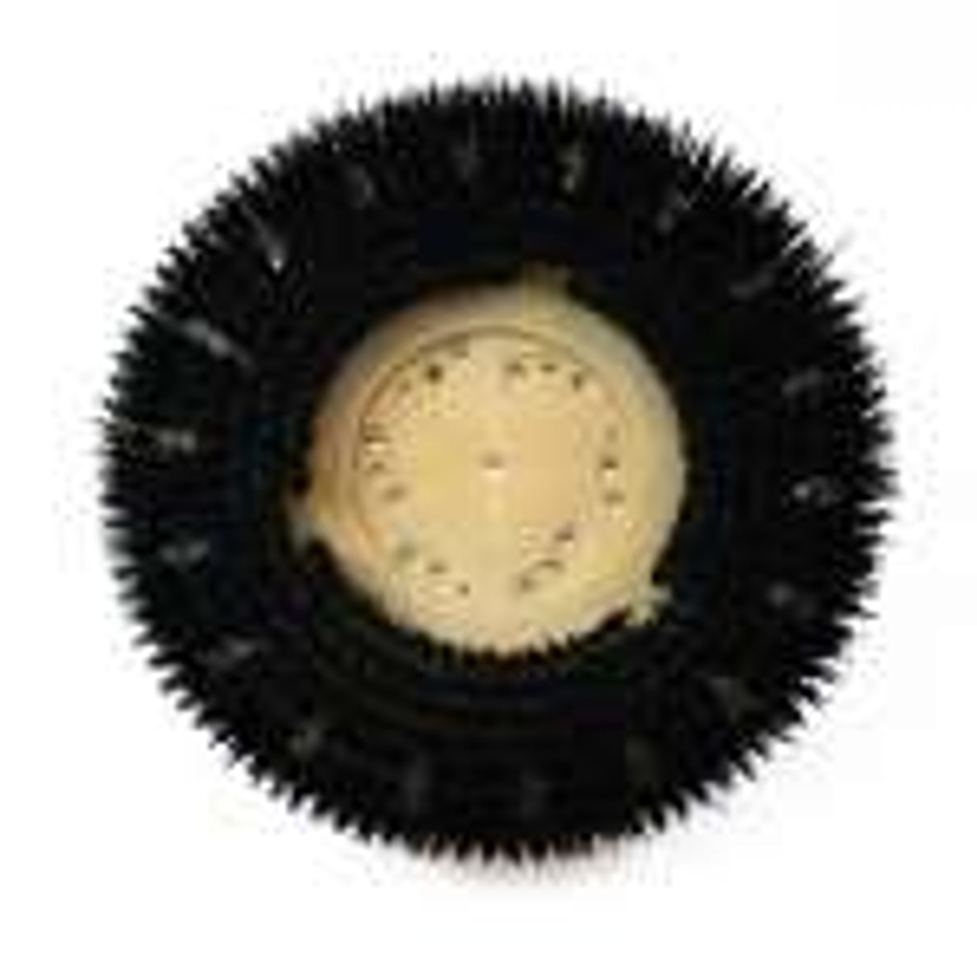 Hawk Enterprises Brush - Strip-GRIT - 13 Inch - A0018