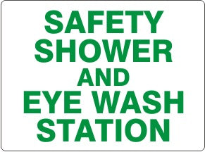 SAFETY SHOWER AND EYE WASH STATION
